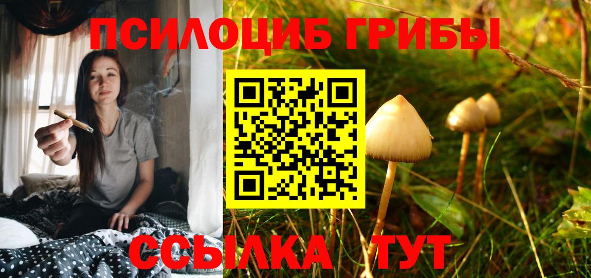 Галлюциногенные грибы Psilocybine cubensis  Вход с VPN  Горячий Ключ 