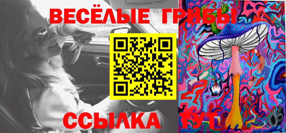 Галлюциногенные грибы мицелий Горячий Ключ